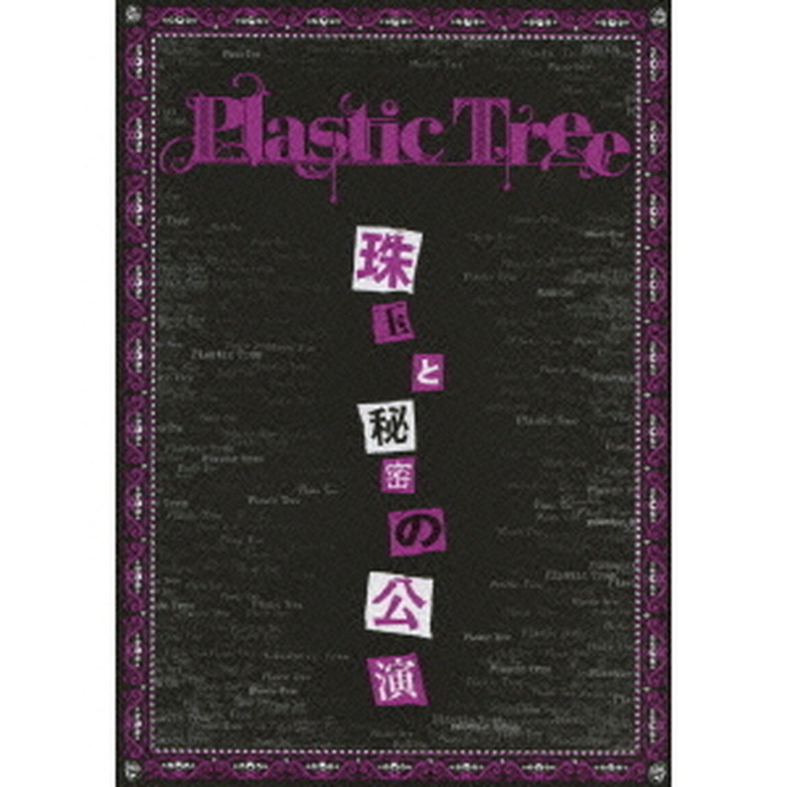 珠玉と秘密の公演（ＤＶＤ）