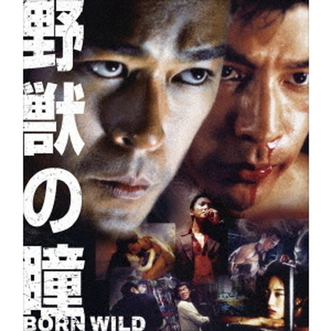野獣の瞳　BORN　WILD（Ｂｌｕ－ｒａｙ　Ｄｉｓｃ）