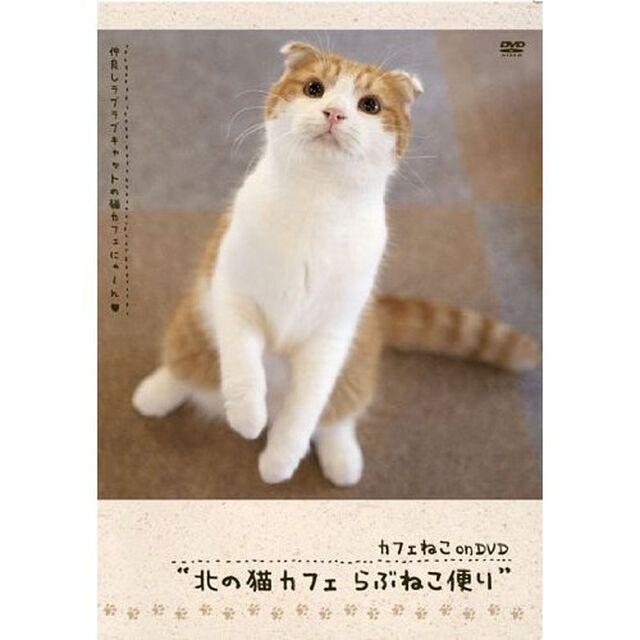 カフェねこonDVD 北の猫カフェ らぶねこ便り（ＤＶＤ）