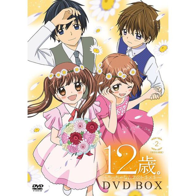12歳。〜ちっちゃなムネのトキメキ〜　DVD　BOX　2（ＤＶＤ）