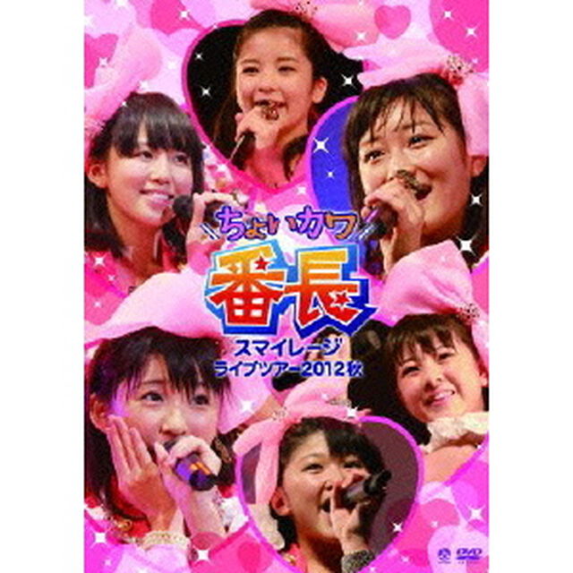 スマイレージライブツアー2012秋　ちょいカワ番長（ＤＶＤ）