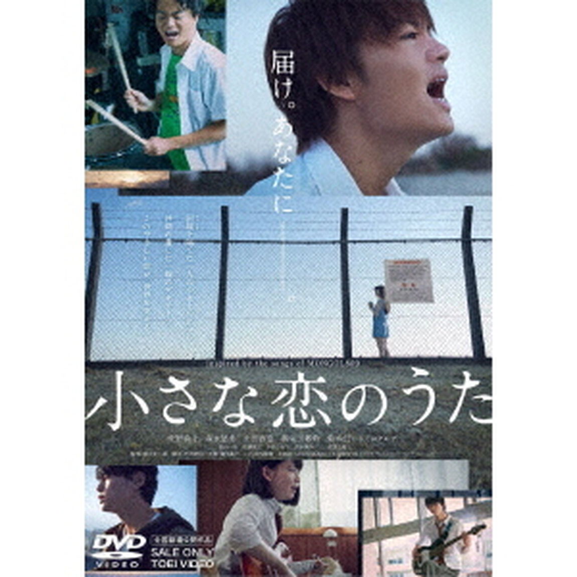 小さな恋のうた（ＤＶＤ）