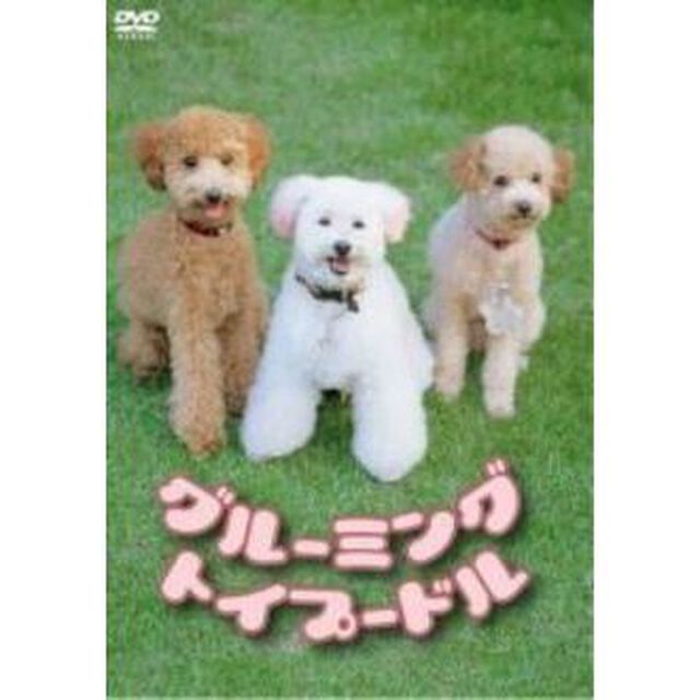 グルーミング　トイプードル（ＤＶＤ）