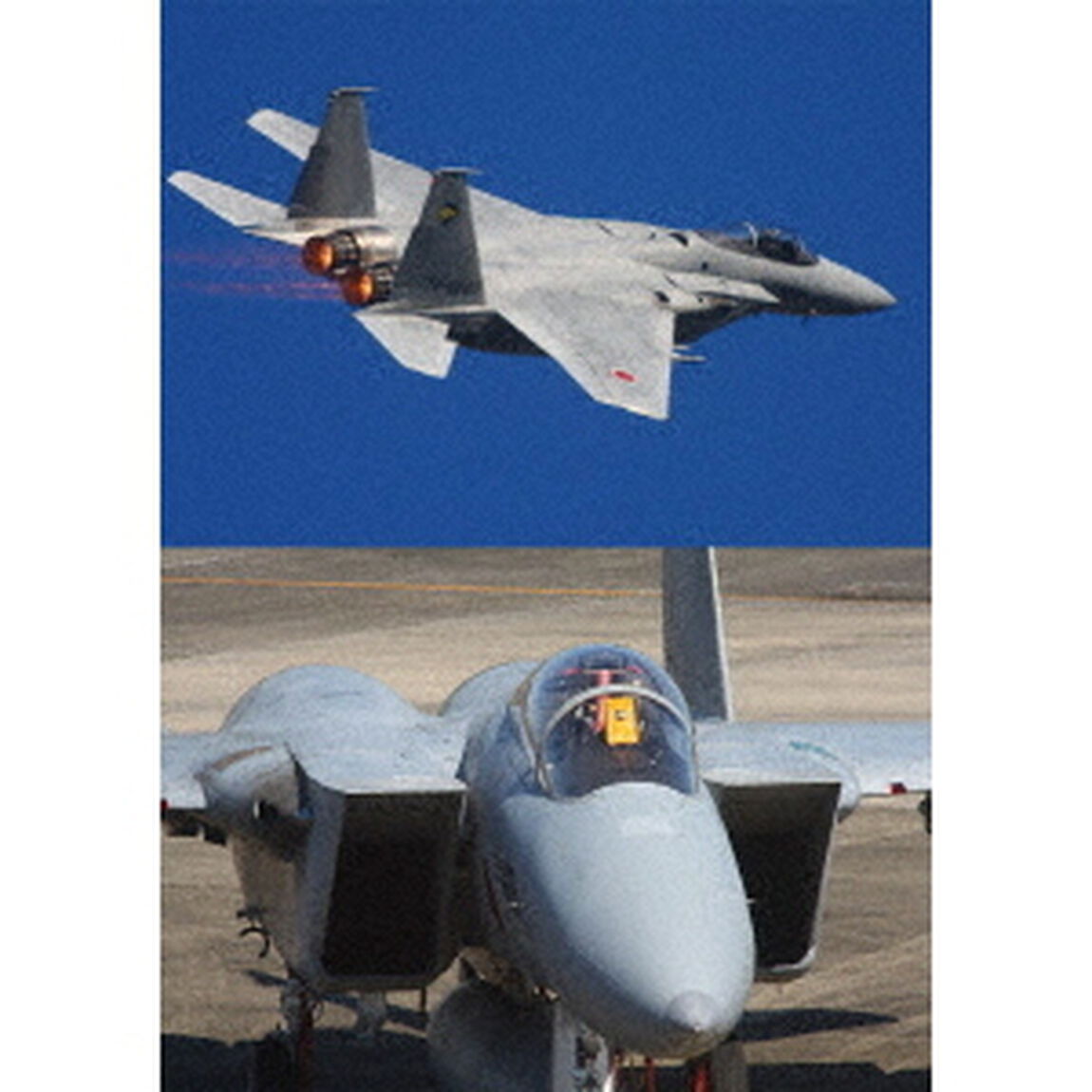 F－15　イーグル・デモフライト・スペシャル　Vol．4（ＤＶＤ）