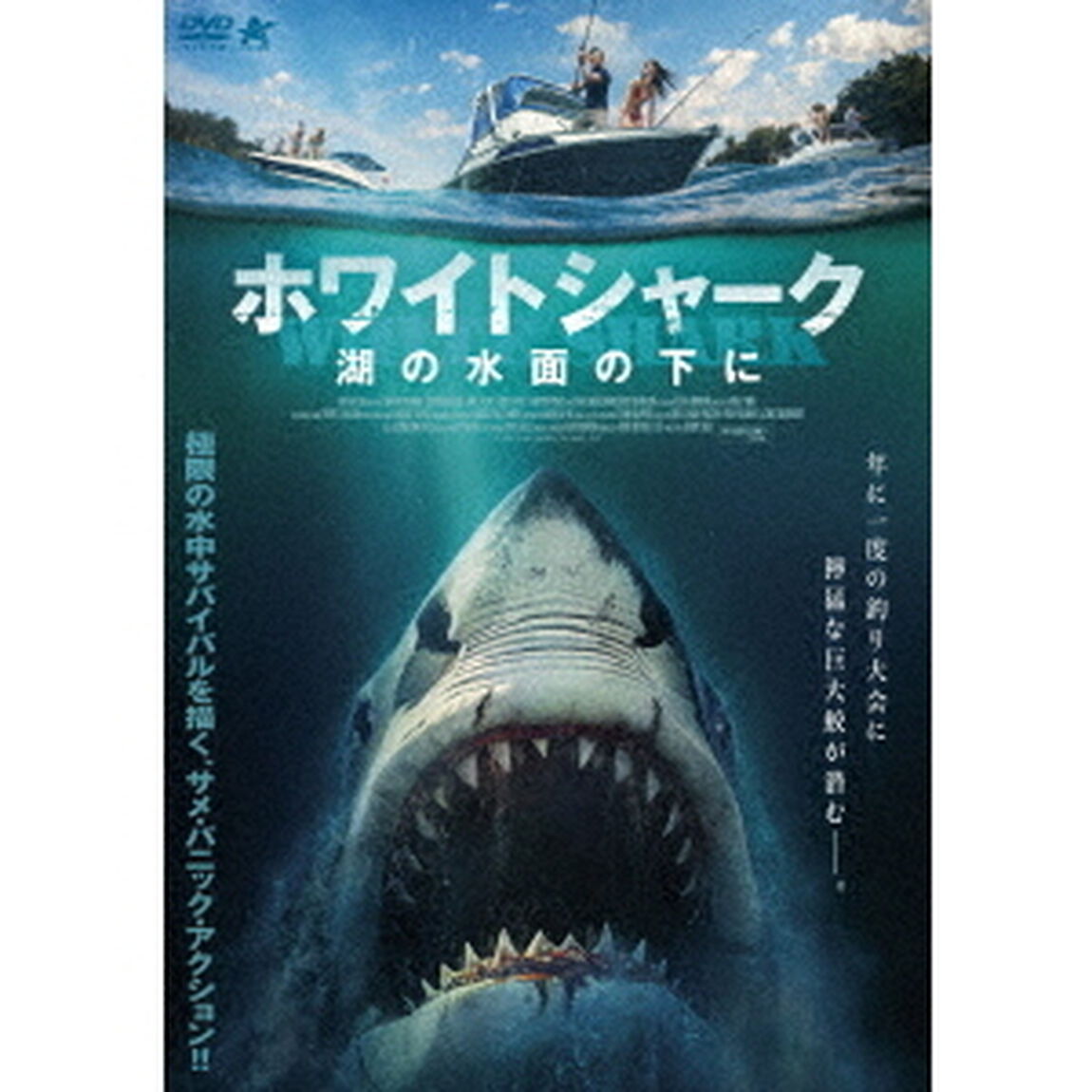 ホワイトシャーク 湖の水面の下に（ＤＶＤ）