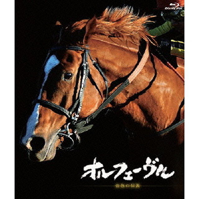 オルフェーヴル 〜金色の伝説〜（Ｂｌｕ－ｒａｙ　Ｄｉｓｃ）