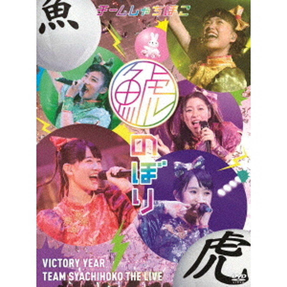 鯱のぼり　at　幕張メッセイベントホール（ＤＶＤ）