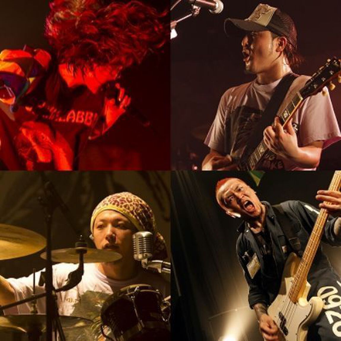 SHAKALABBITS／2010年サラペのBUS TOUR（ＤＶＤ）
