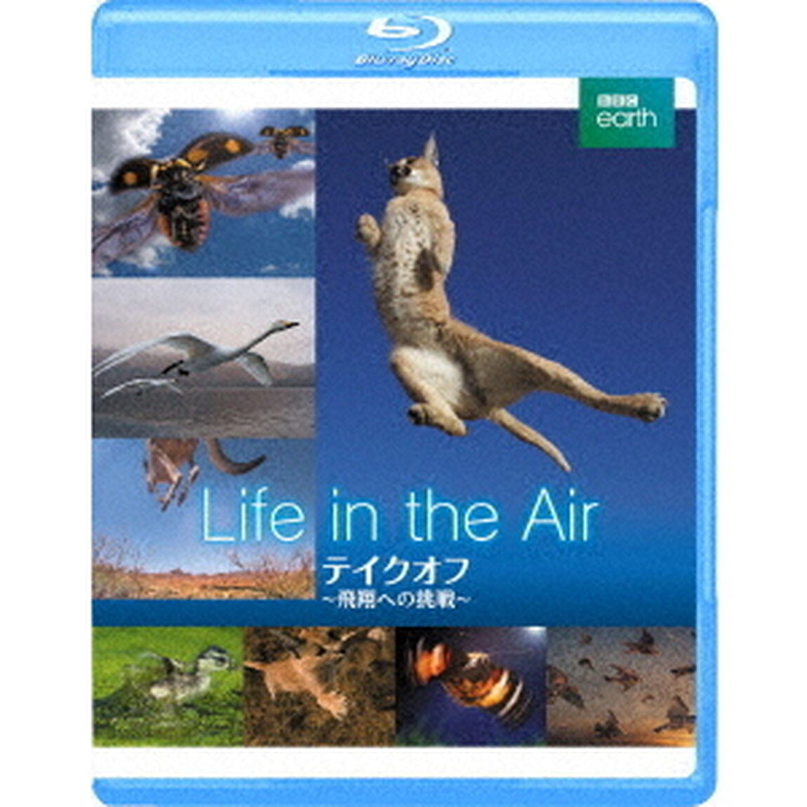BBC　earth　テイクオフ　〜飛翔への挑戦〜（Ｂｌｕ－ｒａｙ　Ｄｉｓｃ）