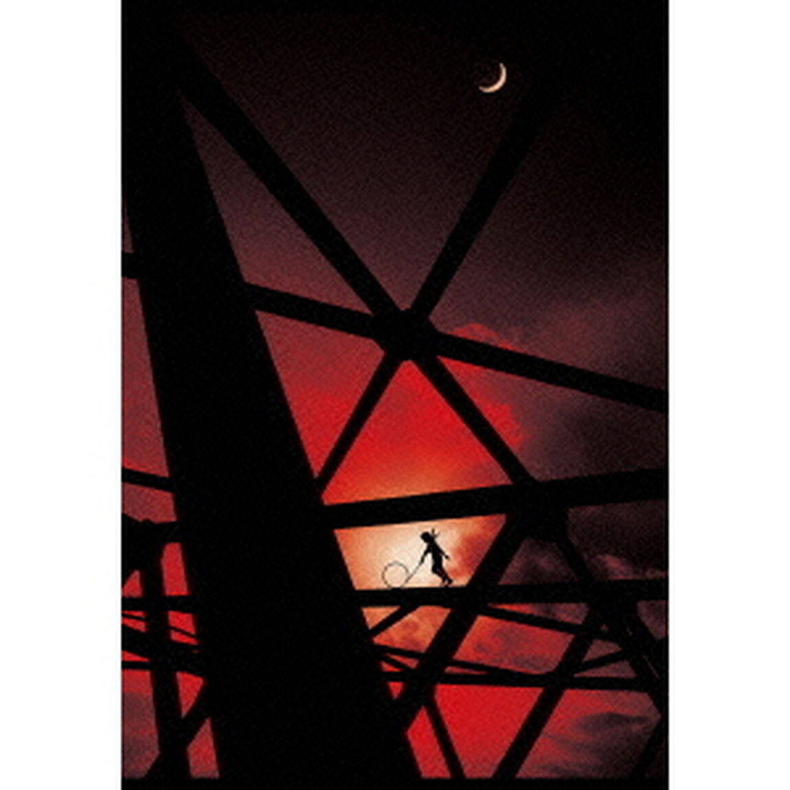 TOUR2014　或いはアナーキー　－FINAL－（ＤＶＤ）
