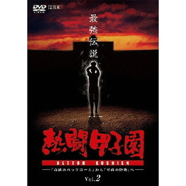 熱闘甲子園　最強伝説　Vol．2　〜「奇跡のバックホーム」から「平成の怪物」へ〜（ＤＶＤ）