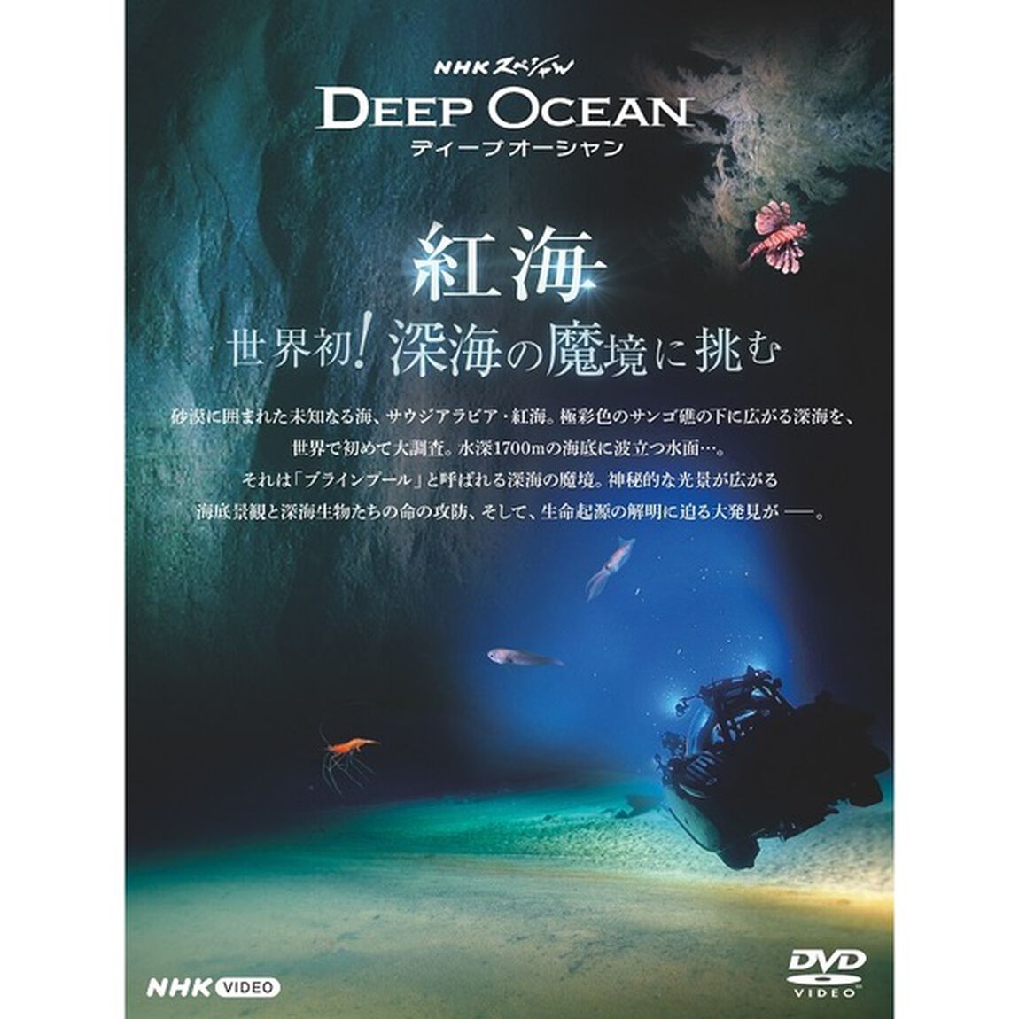 NHKスペシャル　ディープオーシャン　紅海　世界初！深海の魔境に挑む（ＤＶＤ）