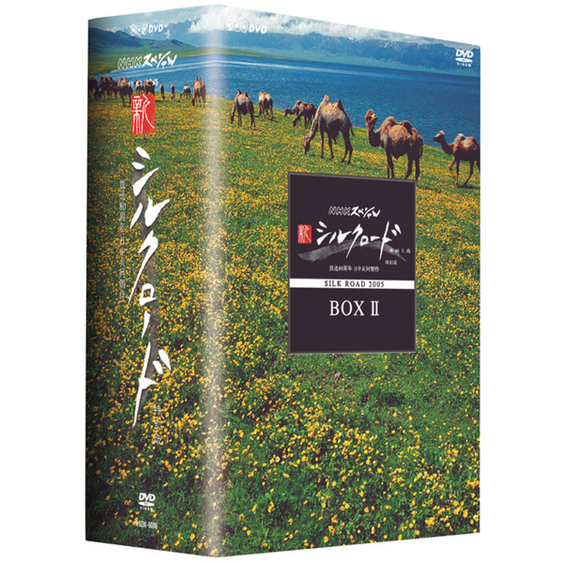新シルクロード　特別版　DVD　BOX　Ⅱ（ＤＶＤ）