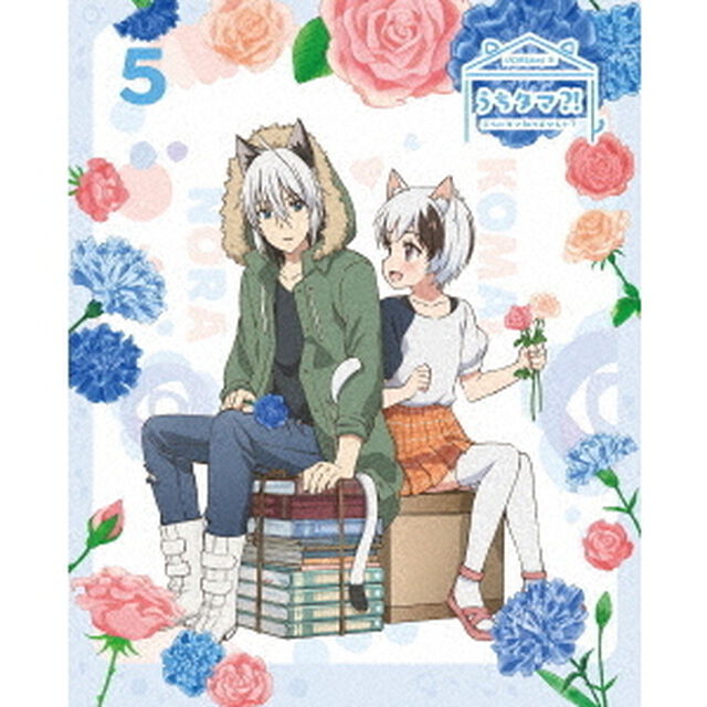 うちタマ？！　〜うちのタマ知りませんか？〜5（ＤＶＤ）
