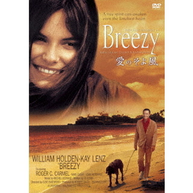 愛のそよ風（ＤＶＤ）