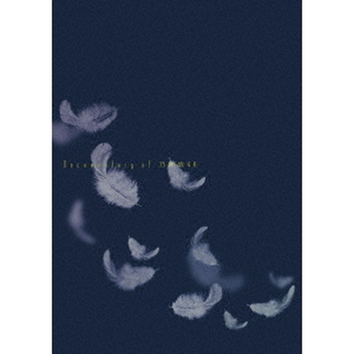 いつのまにか、ここにいる Documentary of 乃木坂46 DVD コンプリートBOX ＜完全生産限定＞（ＤＶＤ）