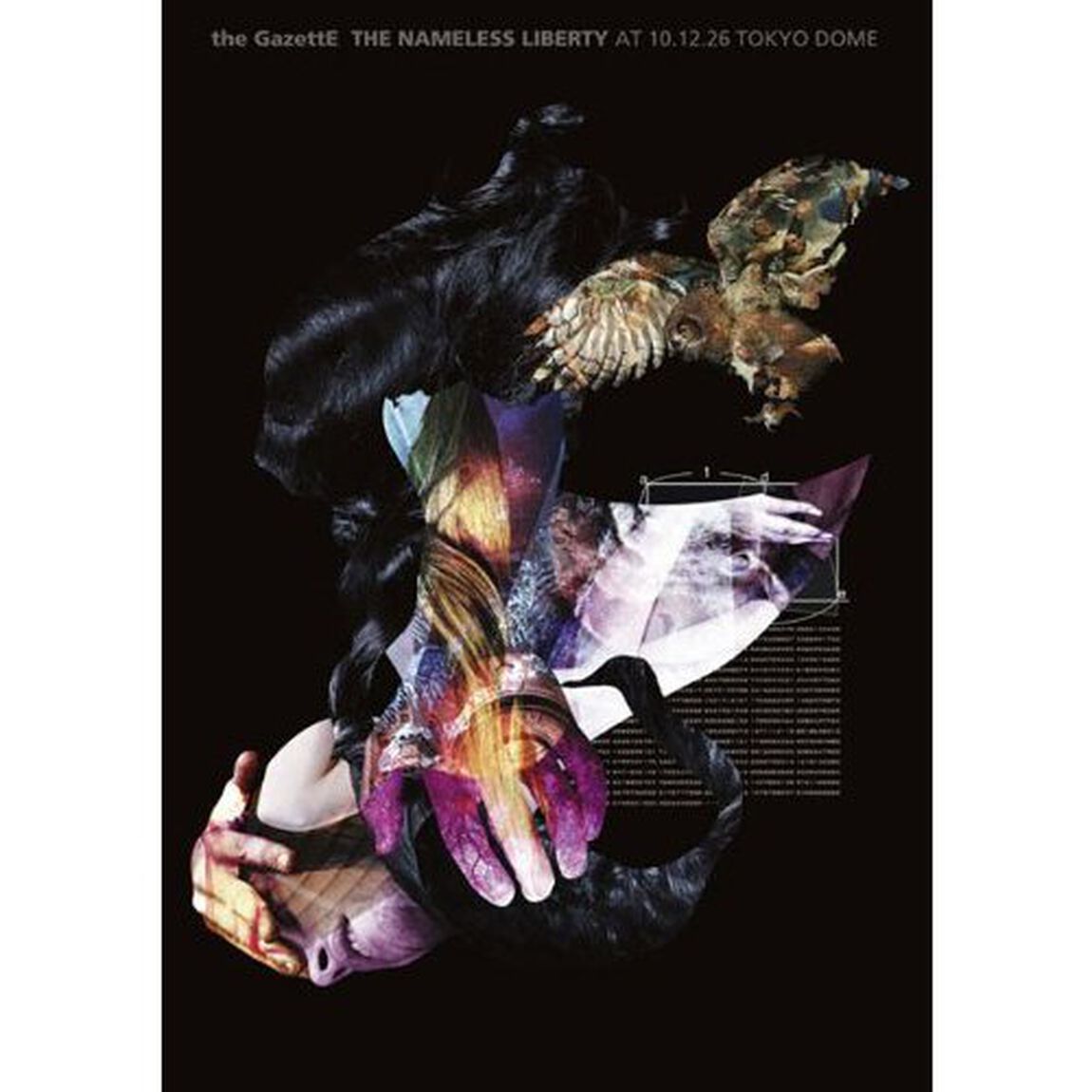 THE　NAMELESS　LIBERTY　AT　10．12．26　TOKYO　DOME（ＤＶＤ）