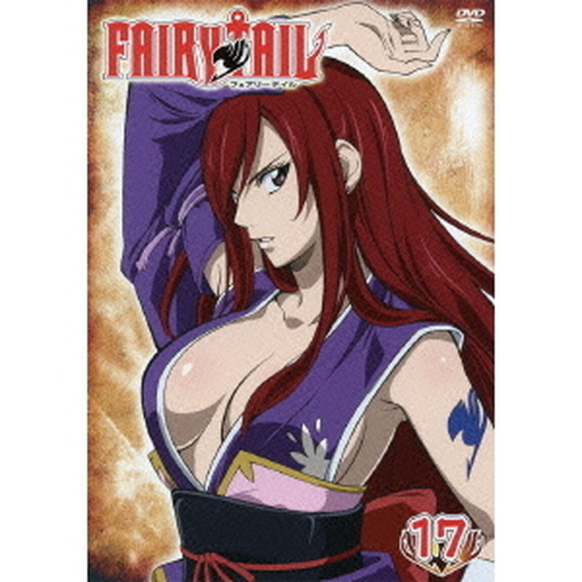 FAIRY TAIL 17（ＤＶＤ）