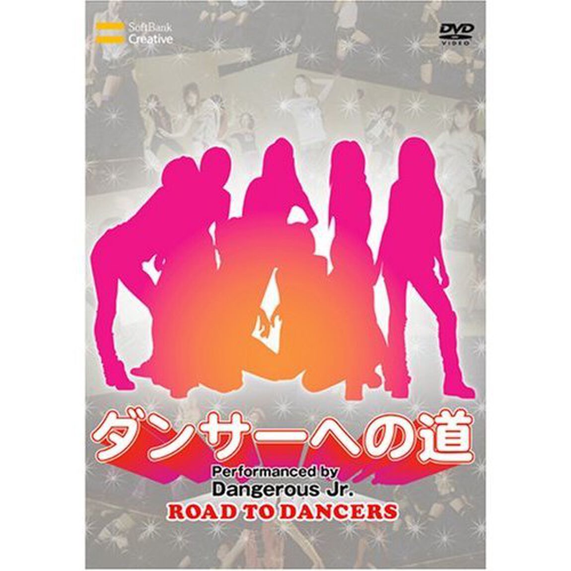 ダンサーへの道（ＤＶＤ）