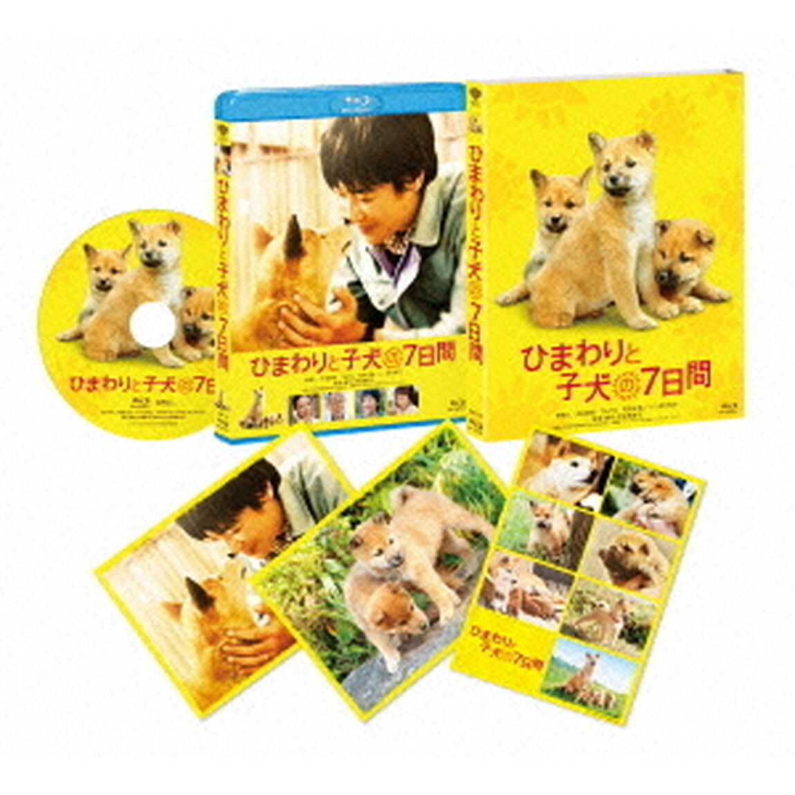 ひまわりと子犬の7日間（Ｂｌｕ－ｒａｙ　Ｄｉｓｃ）