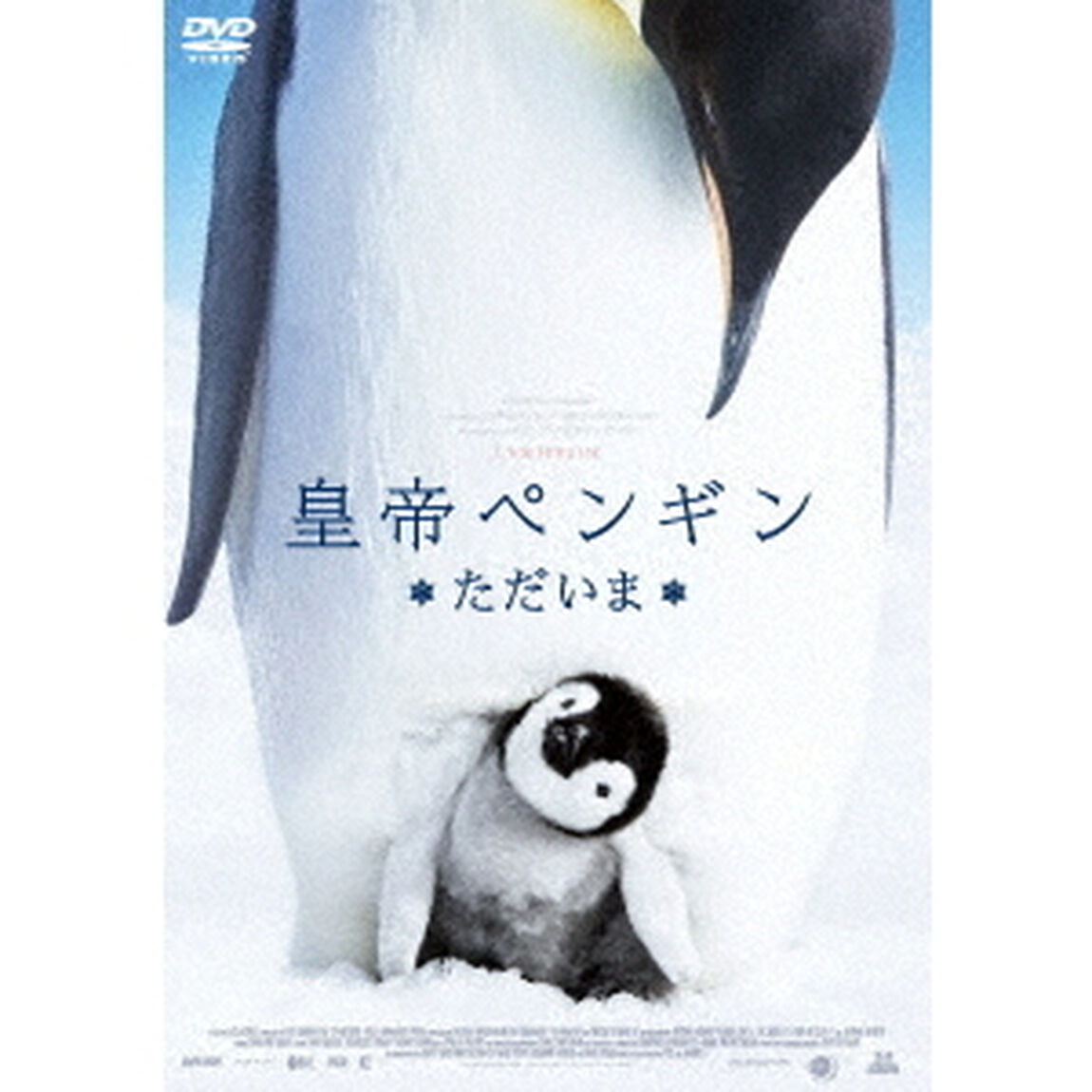 皇帝ペンギン　ただいま　スペシャル・プライス（ＤＶＤ）