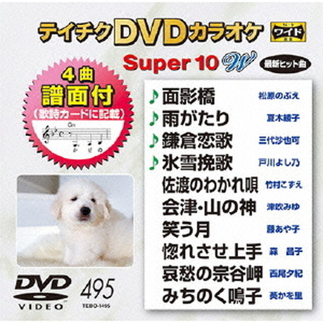 テイチクDVDカラオケ　スーパー10　W（ＤＶＤ）
