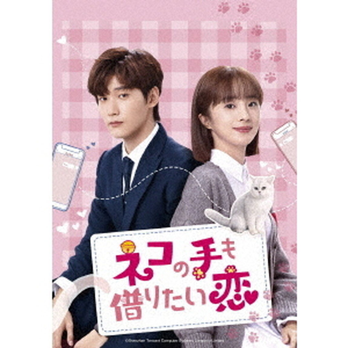 ネコの手も借りたい恋　DVD－SET2（ＤＶＤ）