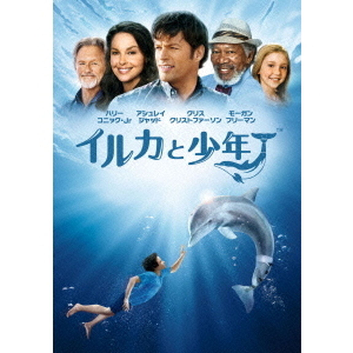 イルカと少年（ＤＶＤ）