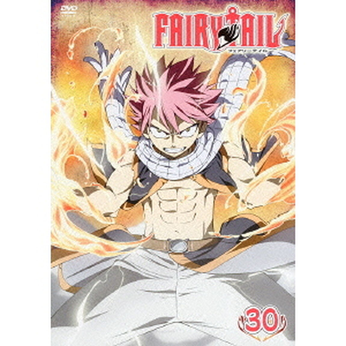 FAIRY TAIL 30（ＤＶＤ）