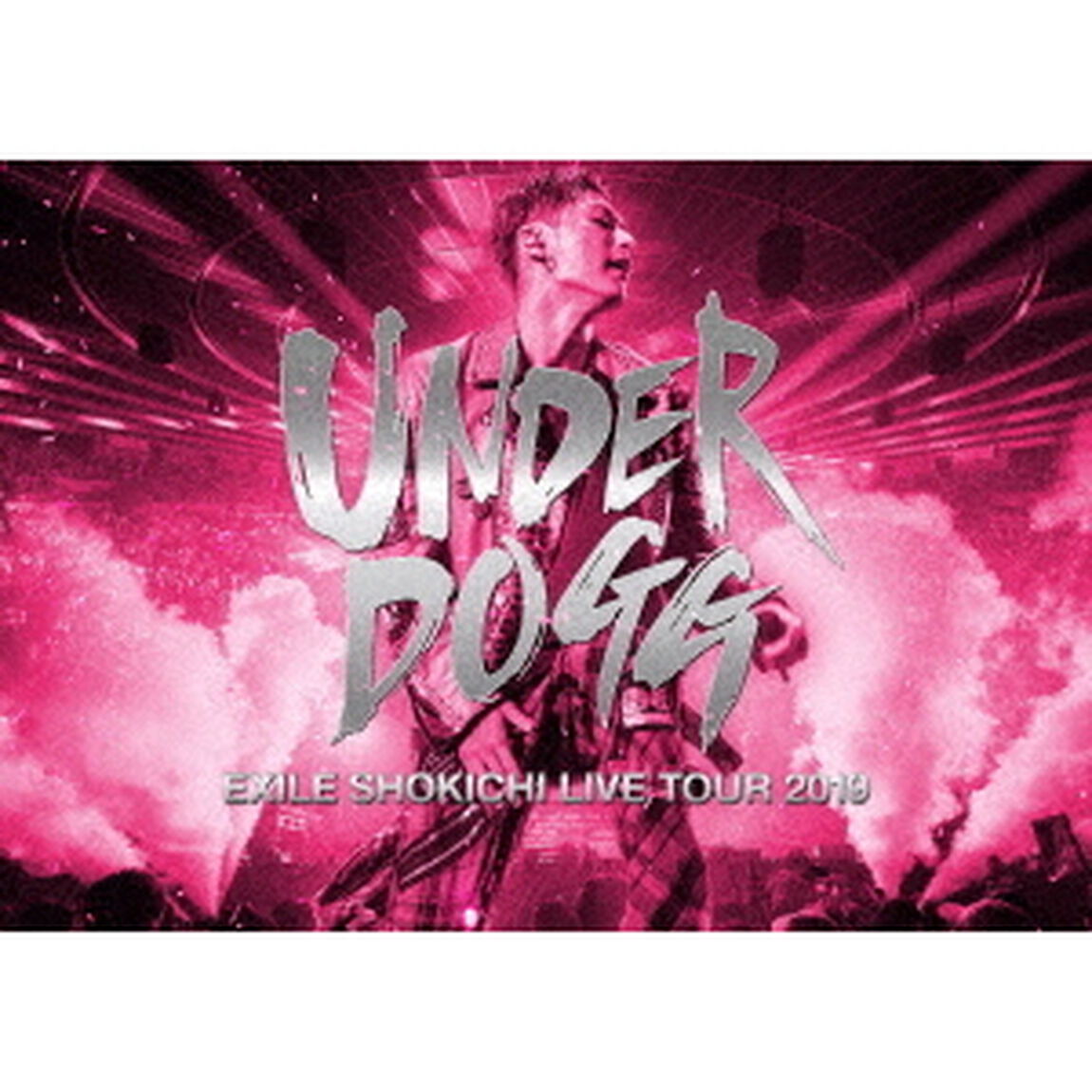 EXILE SHOKICHI／EXILE SHOKICHI LIVE TOUR 2019 UNDERDOGG DVD 初回生産限定盤（ＤＶＤ）
