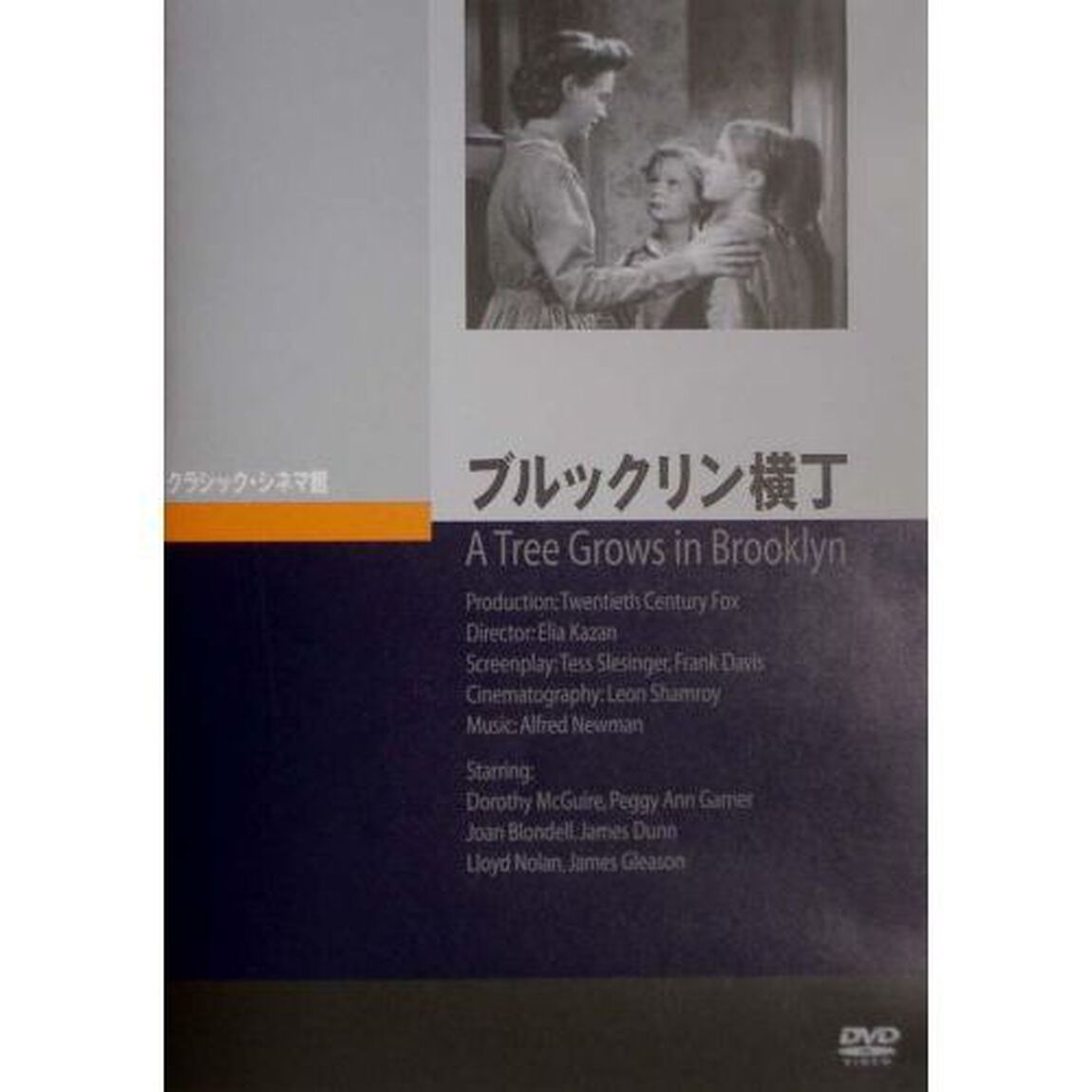 ブルックリン横丁（ＤＶＤ）