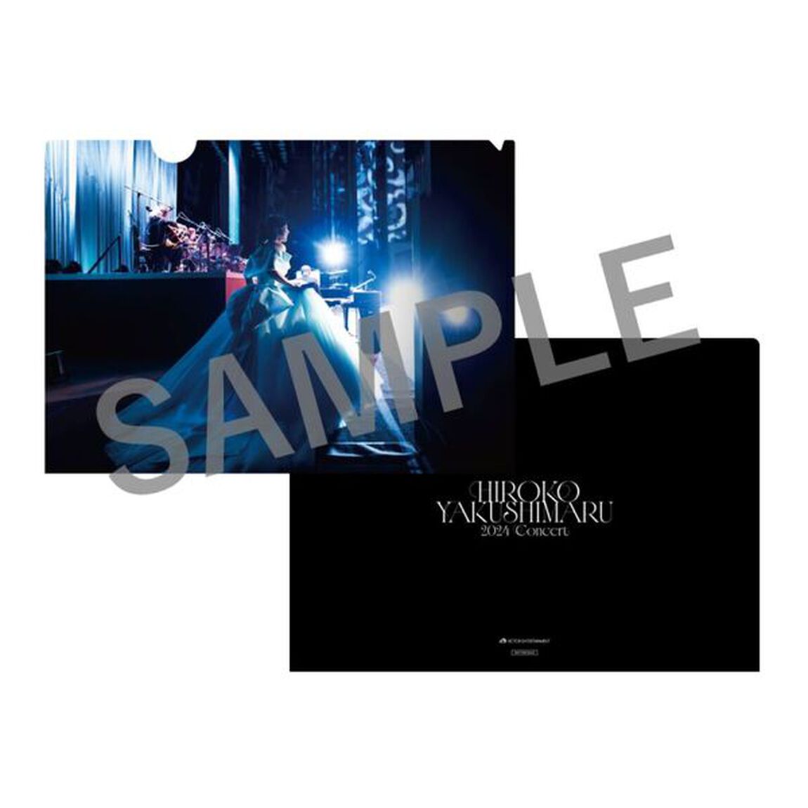 薬師丸ひろ子／薬師丸ひろ子 2024コンサート DVD+CDセット（外付特典：ポストカード【絵柄A】+【絵柄B】+A4クリアファイル【絵柄A】）（ＤＶＤ）