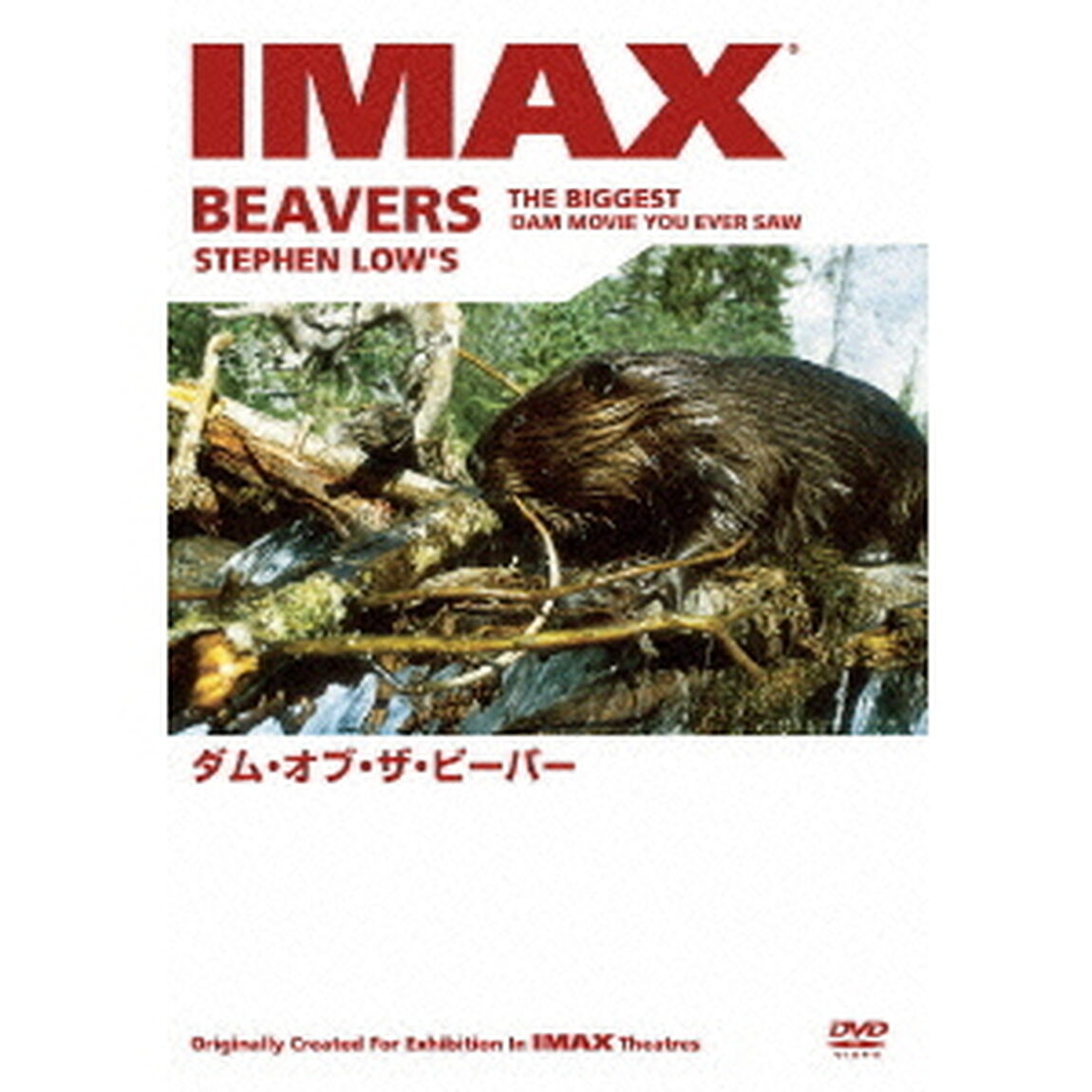 ダム・オブ・ザ・ビーバー（ＤＶＤ）