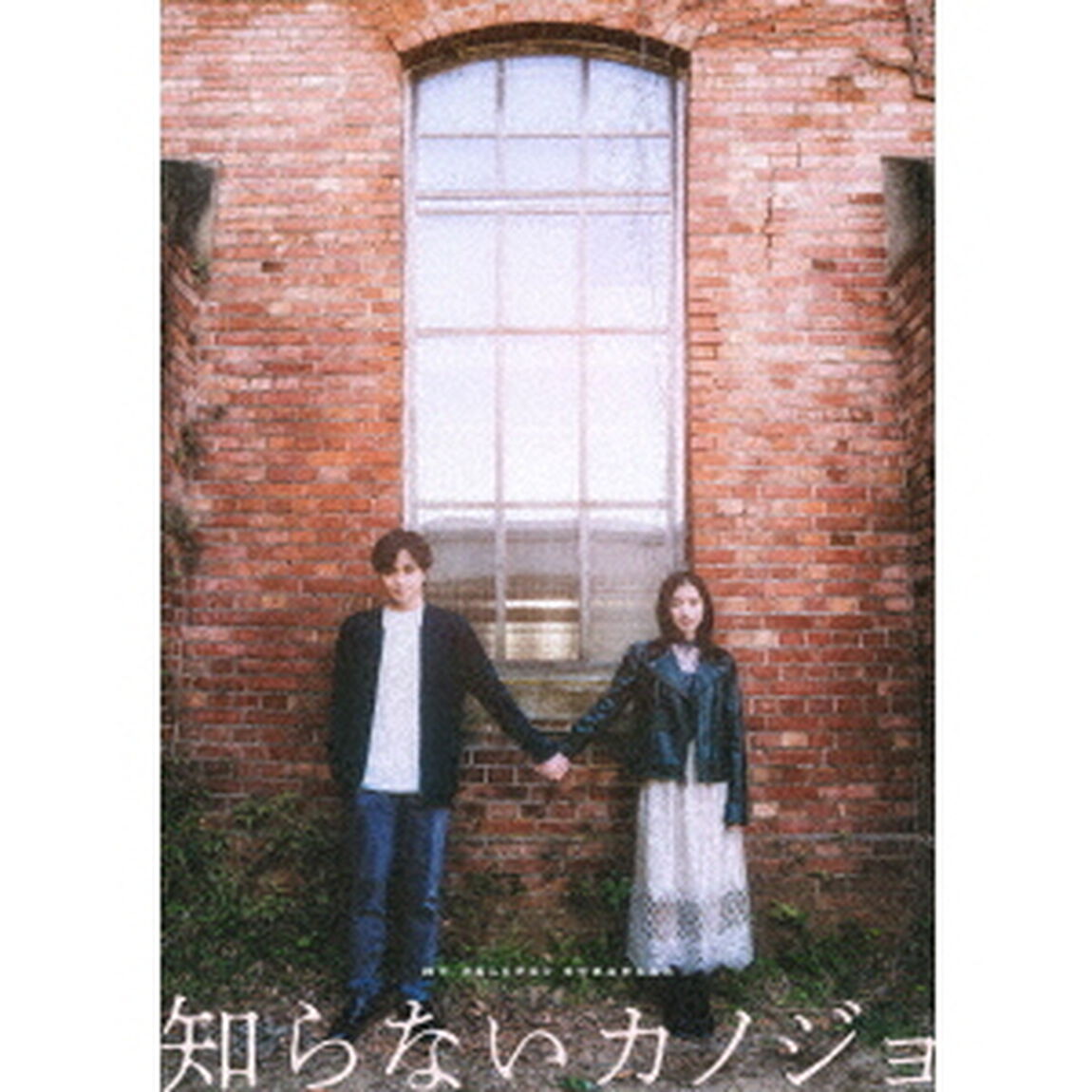 知らないカノジョ DVD コレクターズ・エディション（ＤＶＤ）