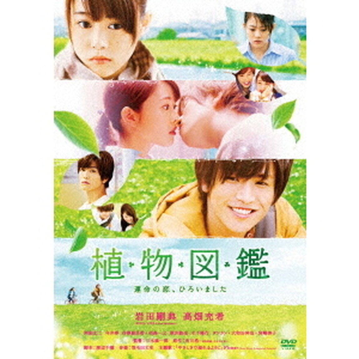 植物図鑑　運命の恋、ひろいました（ＤＶＤ）