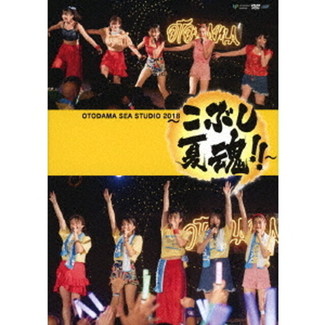 OTODAMA　SEA　STUDIO　2018　〜こぶし夏魂！！〜（ＤＶＤ）
