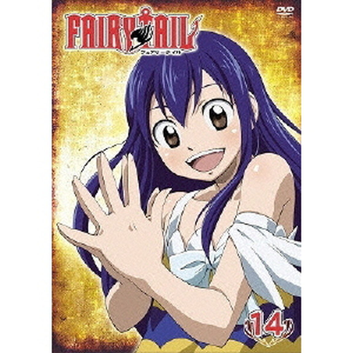 FAIRY TAIL 14（ＤＶＤ）