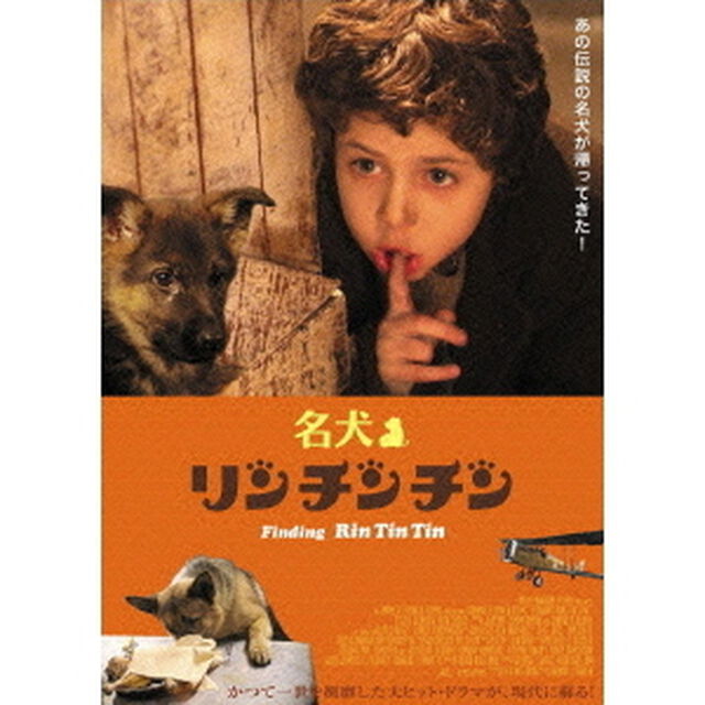 名犬リンチンチン（ＤＶＤ）