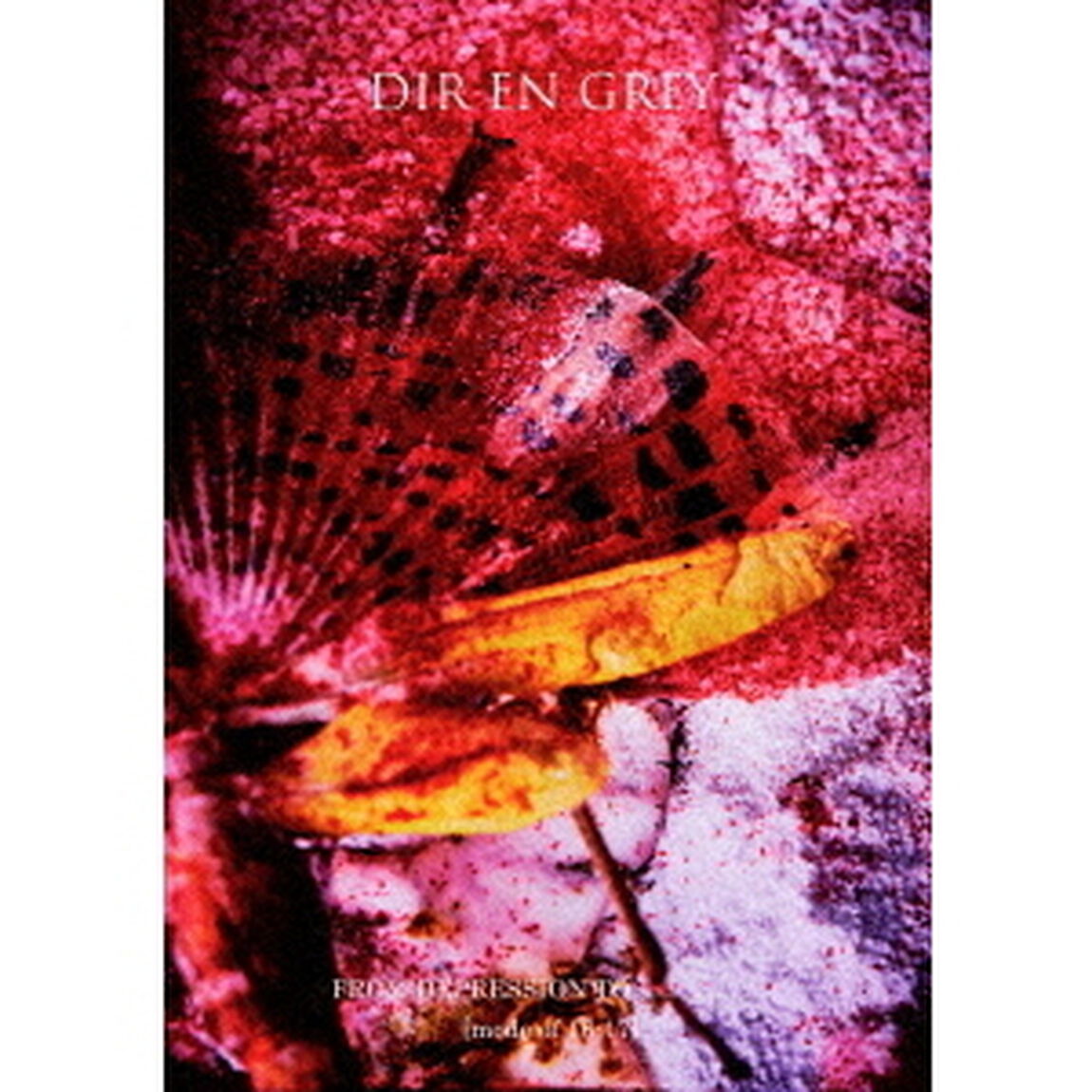 FROM　DEPRESSION　TO　＿＿＿＿＿＿＿＿　［mode　of　16－17］（ＤＶＤ）