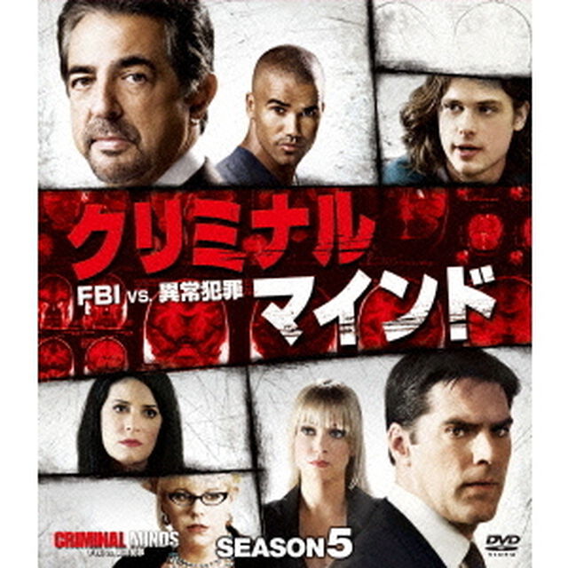 クリミナル・マインド／FBI　vs．　異常犯罪　シーズン5　コンパクトBOX（ＤＶＤ）