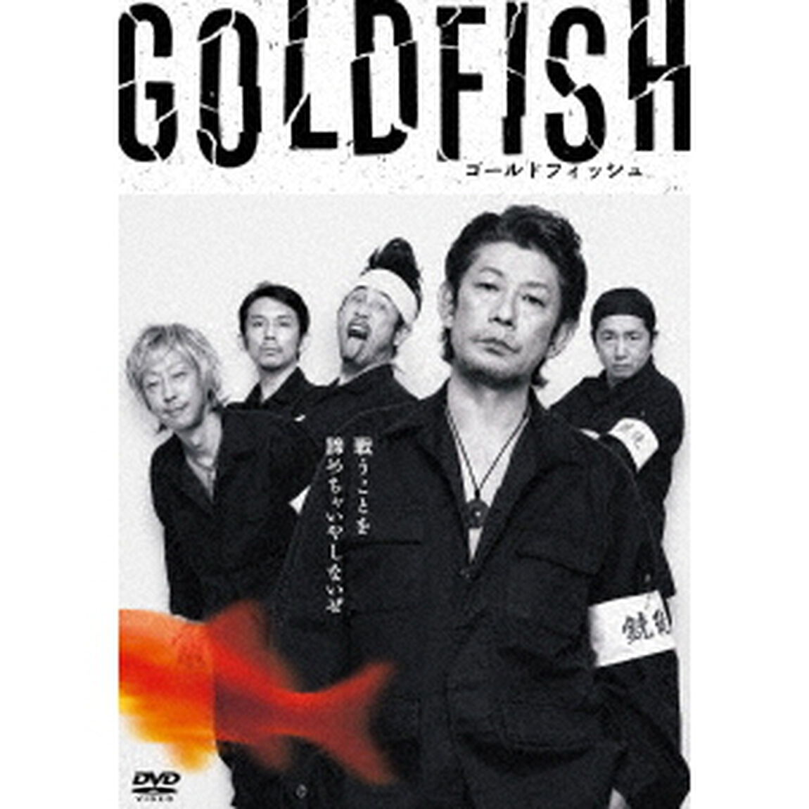 GOLDFISH（ＤＶＤ）