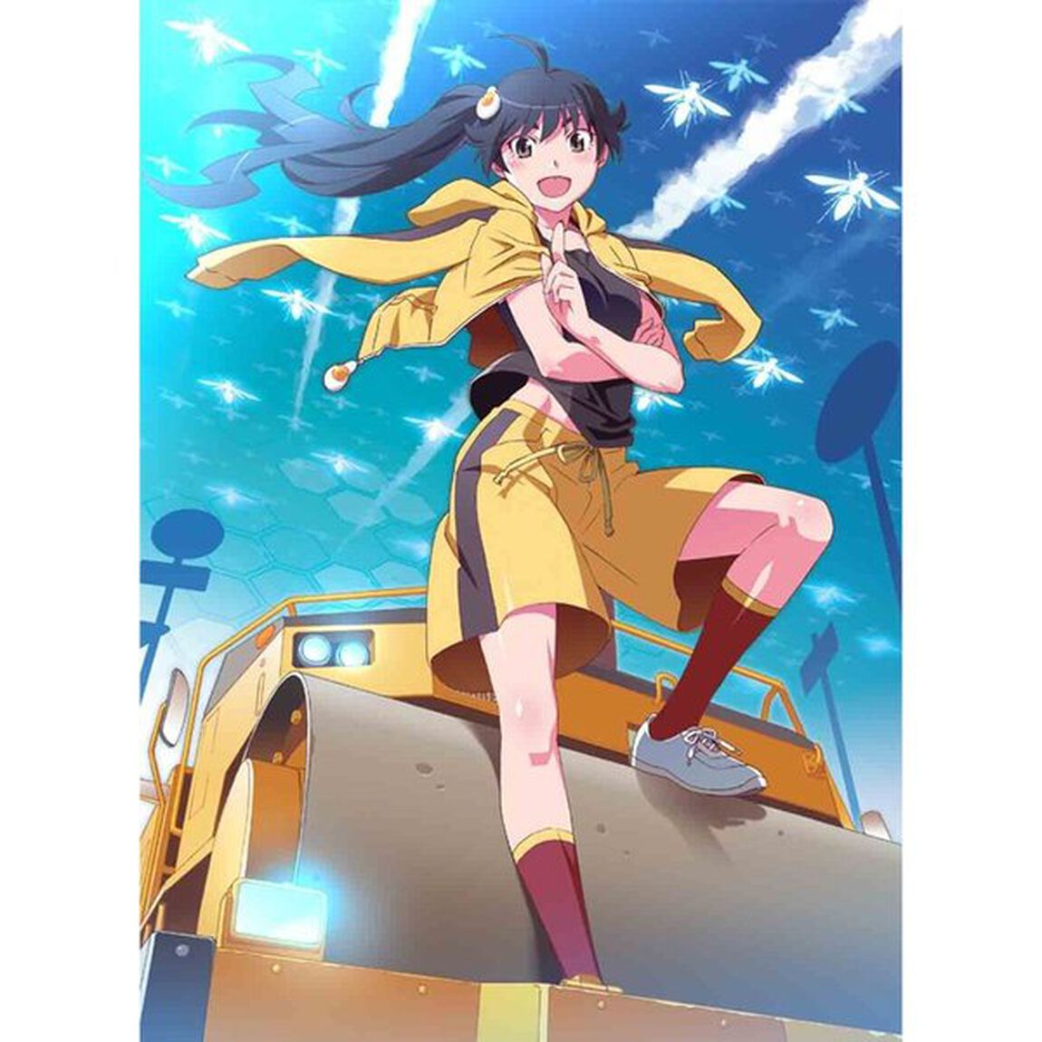 偽物語　1　かれんビー（上）（ＤＶＤ）