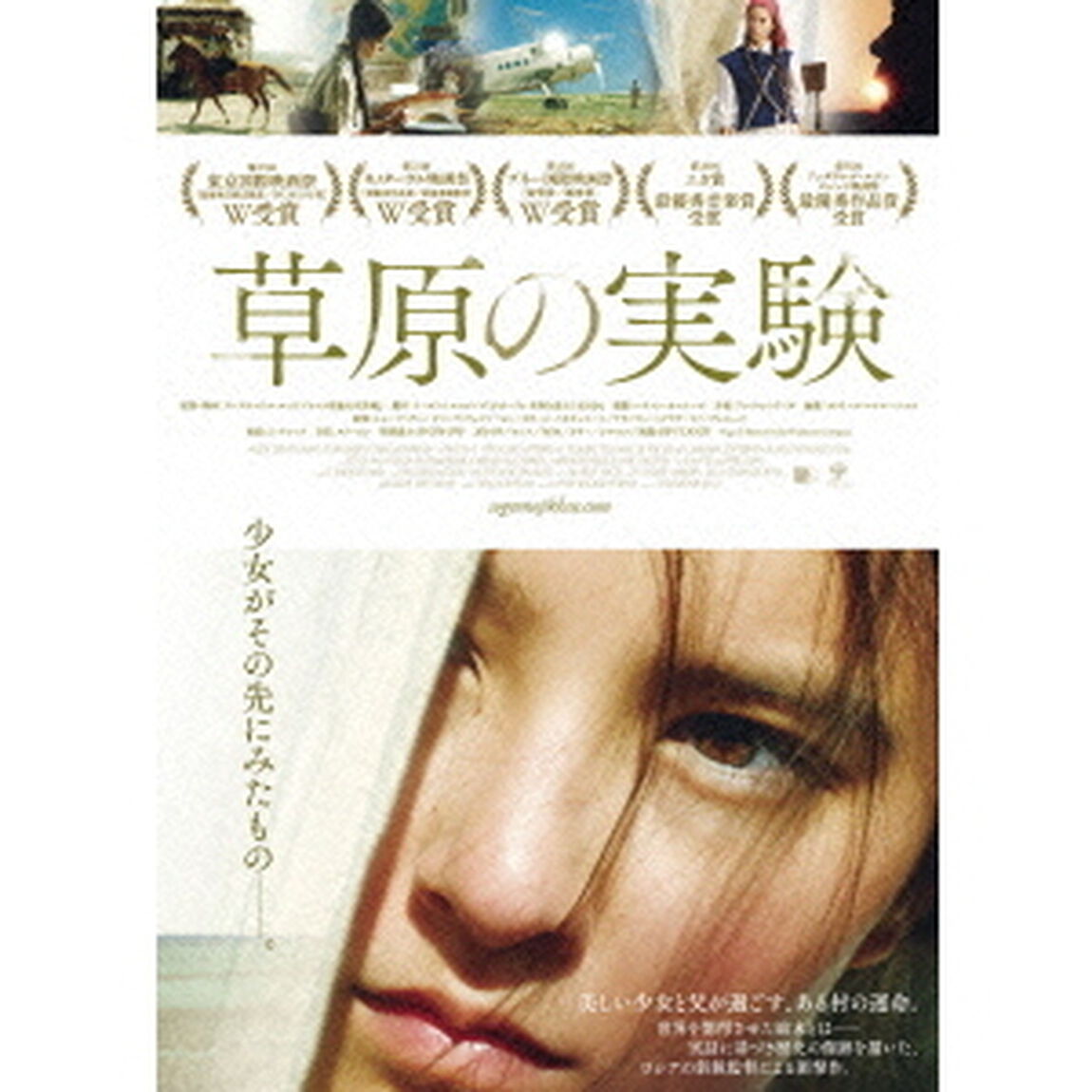 草原の実験　プレミアム版（ＤＶＤ）