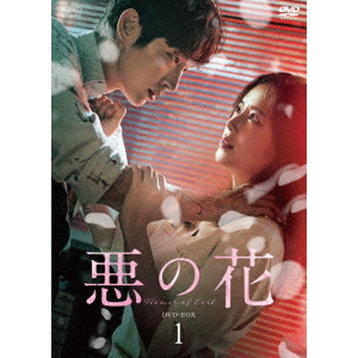 悪の花　DVD－BOX1（ＤＶＤ）