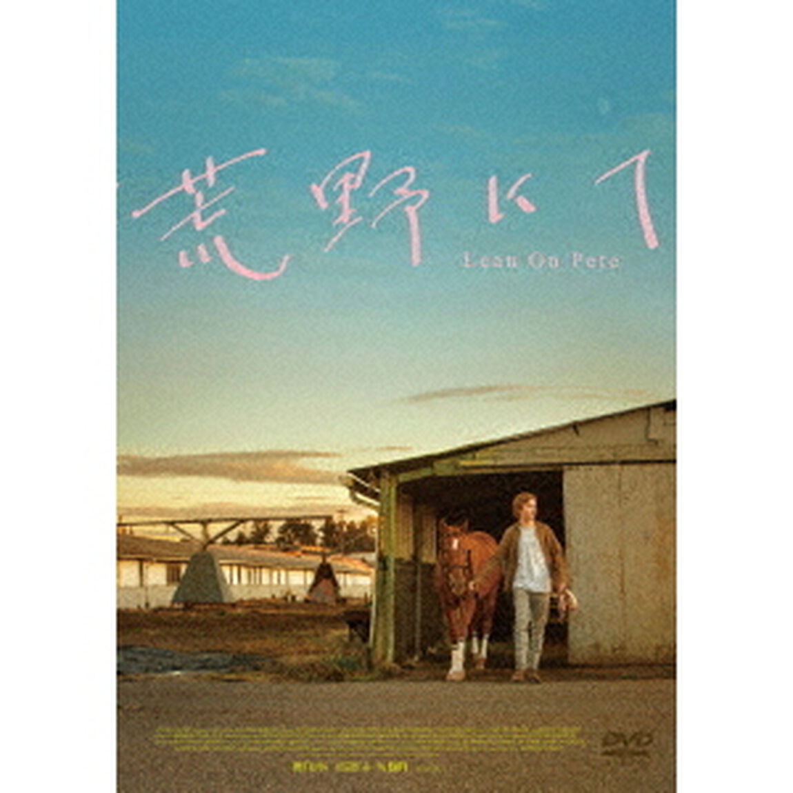 荒野にて（ＤＶＤ）