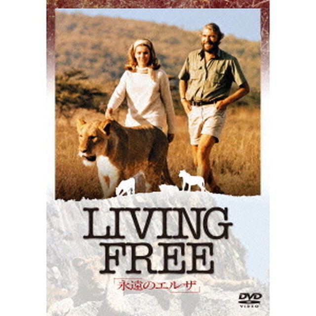 永遠のエルザ（ＤＶＤ）