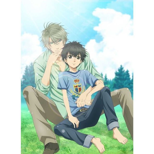 SUPER　LOVERS　第2巻（Ｂｌｕ－ｒａｙ　Ｄｉｓｃ）