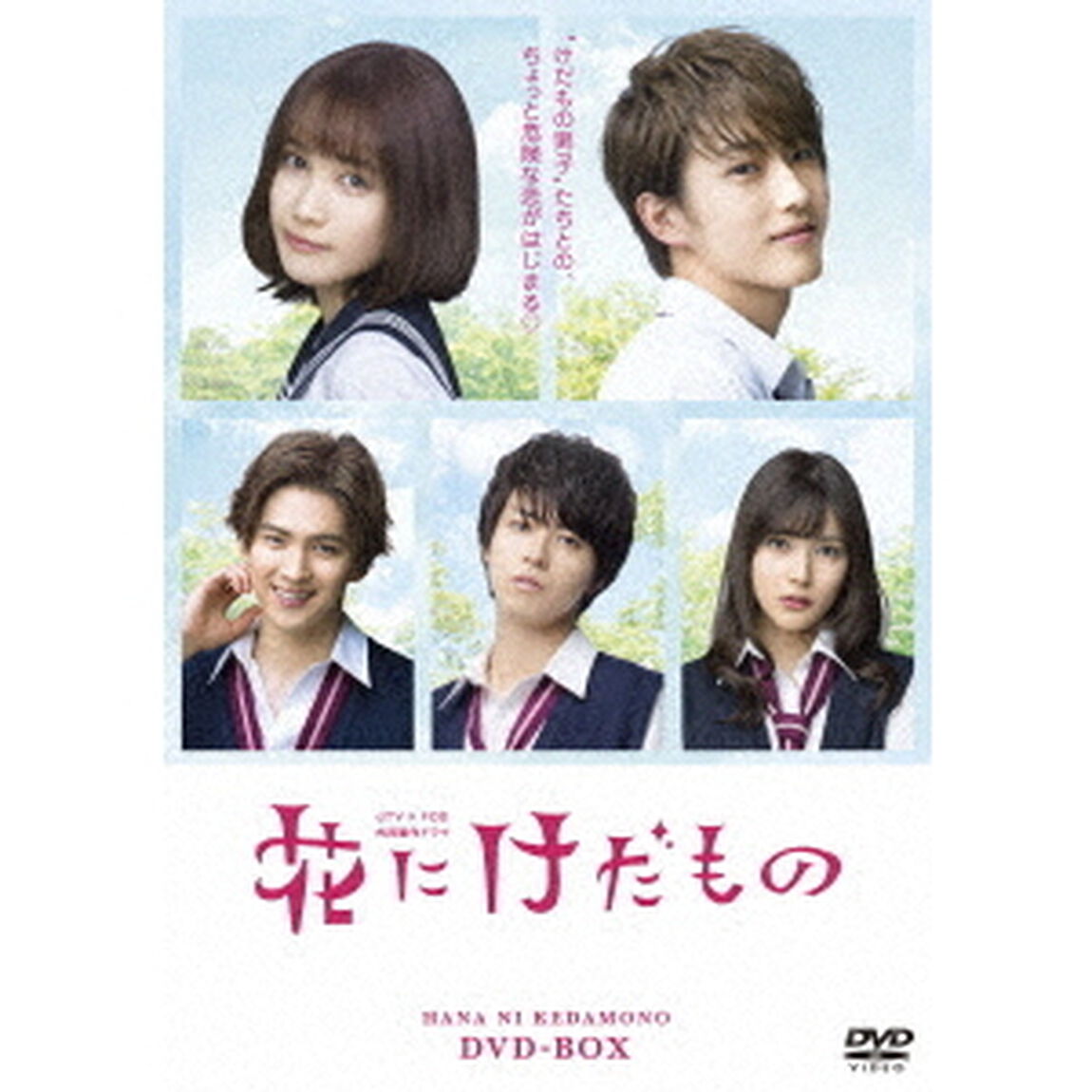 花にけだもの　DVD－BOX（ＤＶＤ）