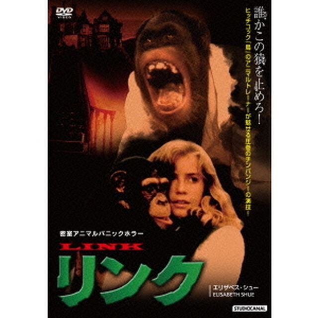 リンク（ＤＶＤ）