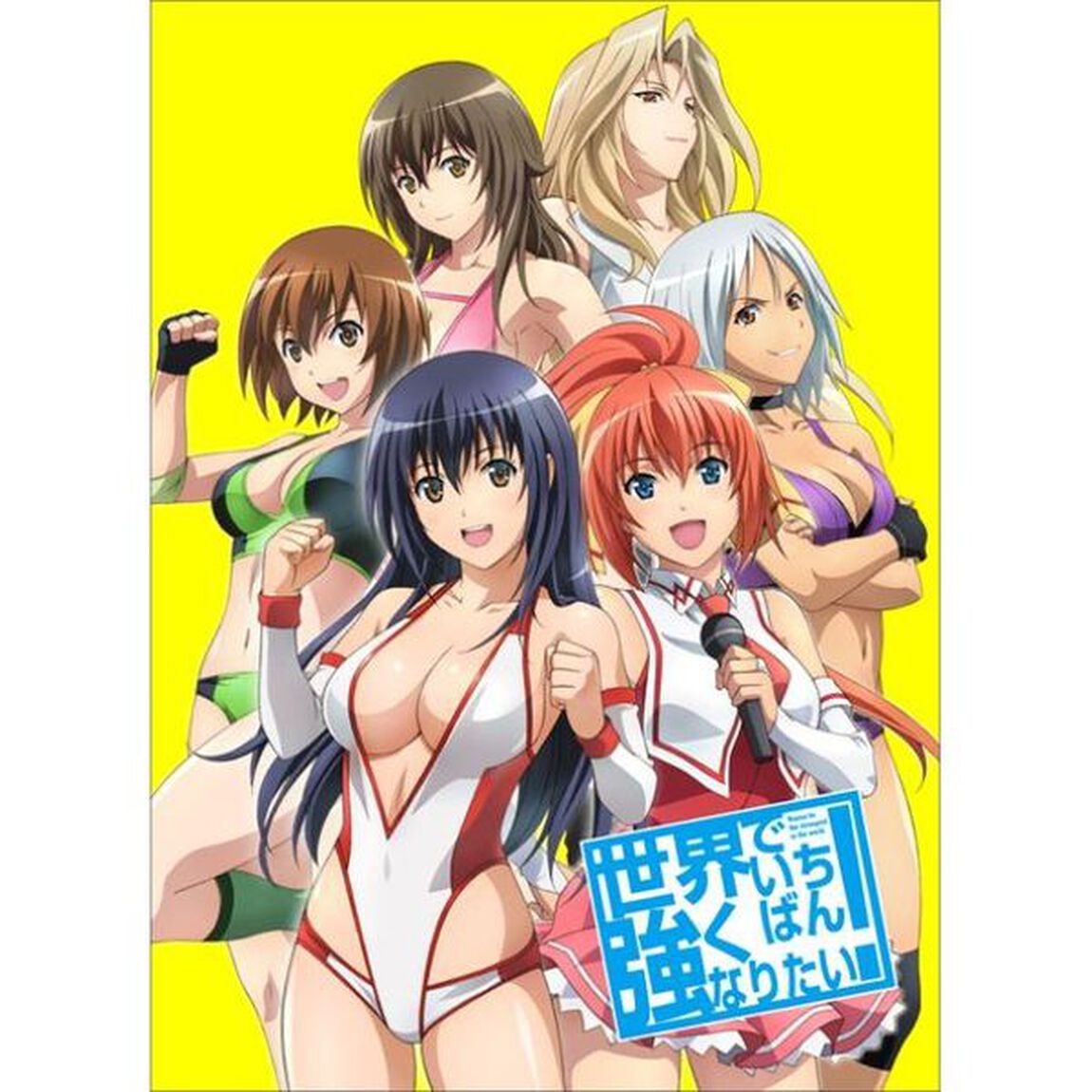 世界でいちばん強くなりたい！ 第2巻（ＤＶＤ）
